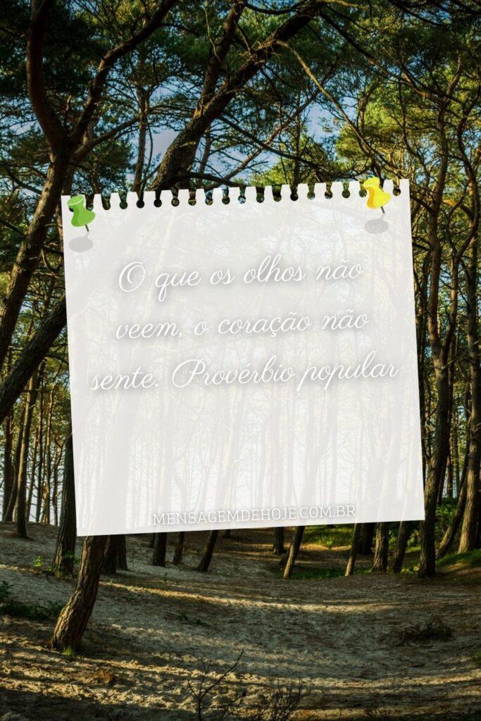 Pensamentos 23 de Junho de 2023 3