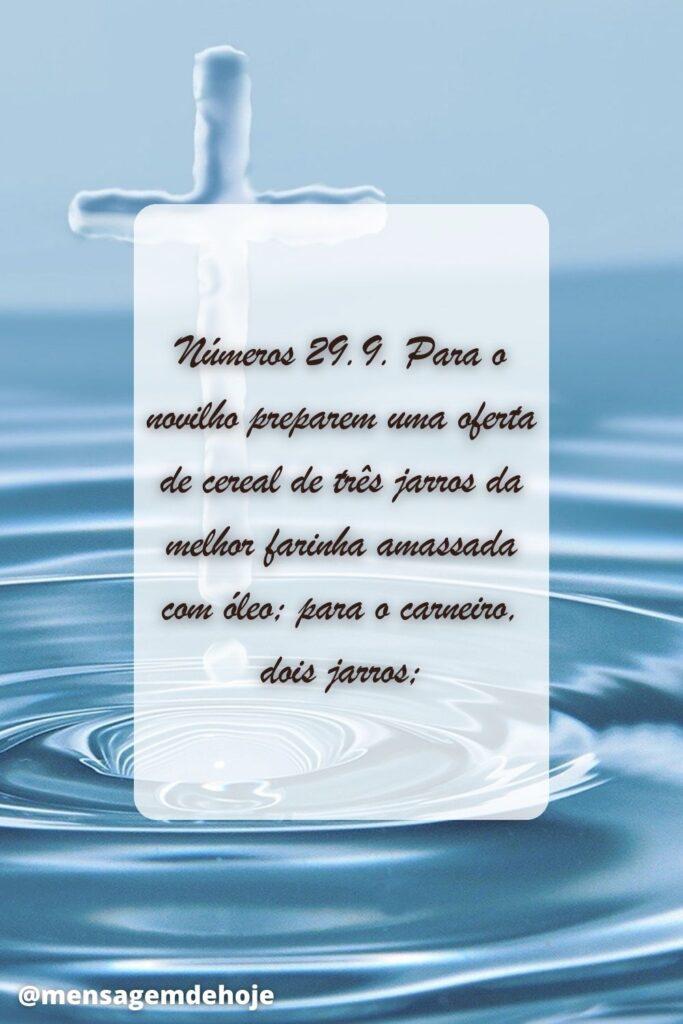 Salmos 27 de Junho de 2023 3