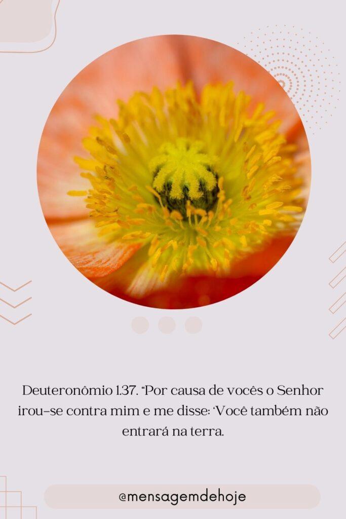 Salmos 29 de Julho de 2023 7