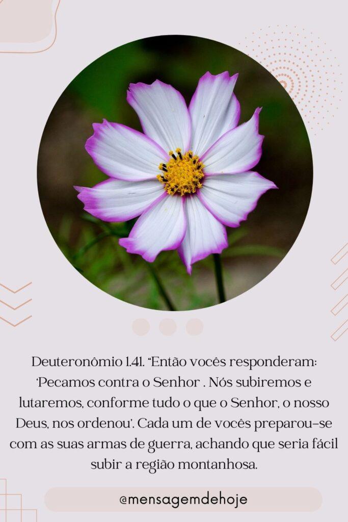 Salmos 29 de Julho de 2023 15