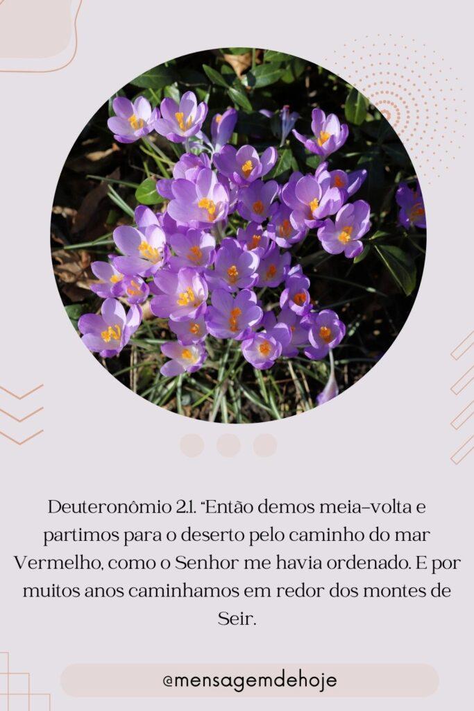 Salmos 30 de Julho de 2023 7