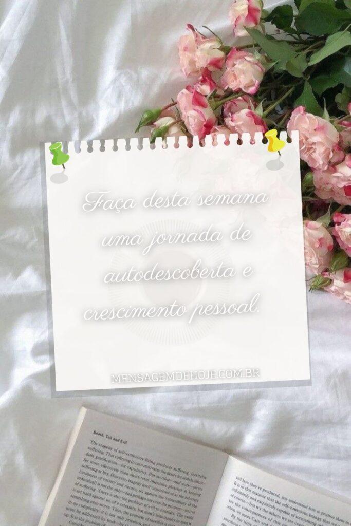Bom Dia 20 de Julho de 2023 13
