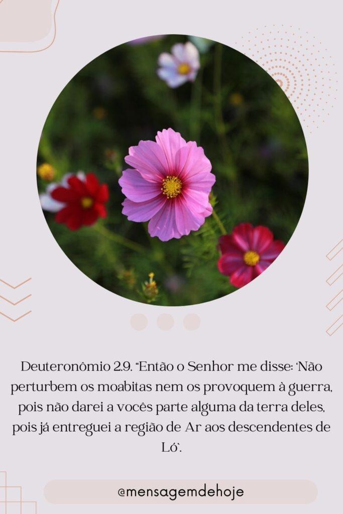 Salmos 30 de Julho de 2023 3