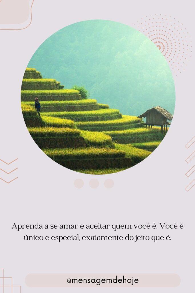 Pensamentos 22 de Julho de 2023 5