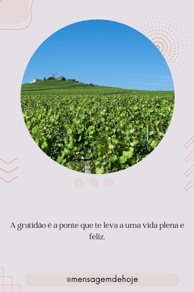 Pensamentos 03 de Julho de 2023 9