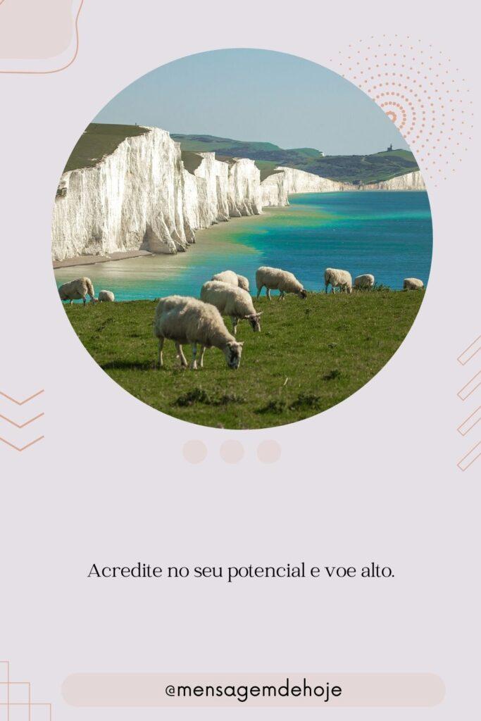 Pensamentos 03 de Julho de 2023 11