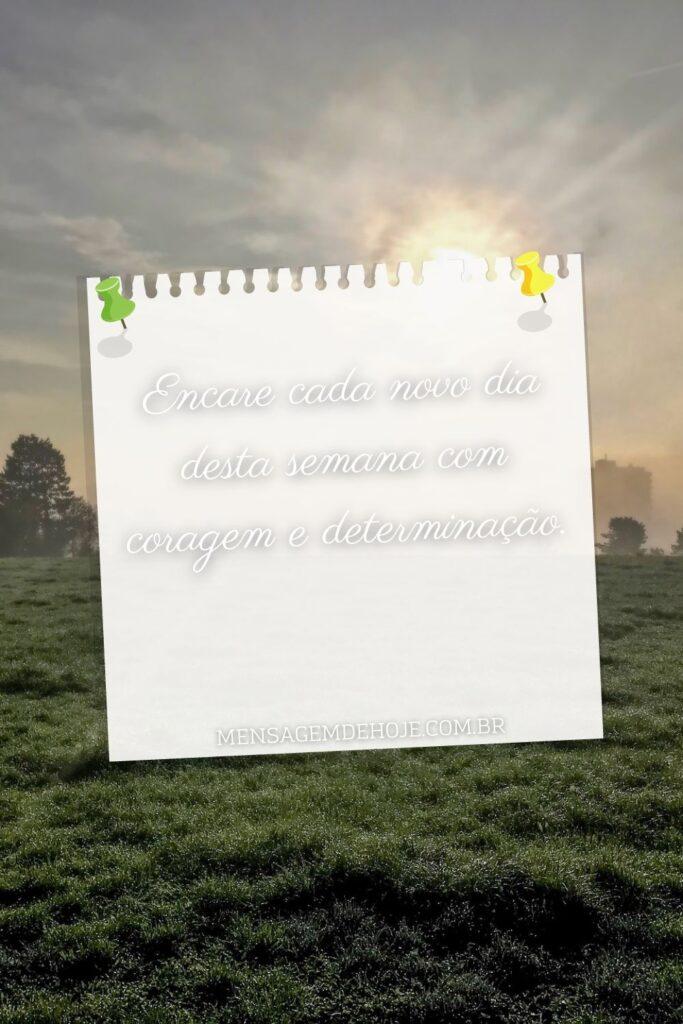 Bom Dia 24 de Julho de 2023 13