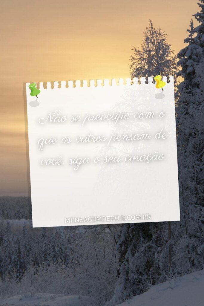 Bom Dia 24 de Julho de 2023 17