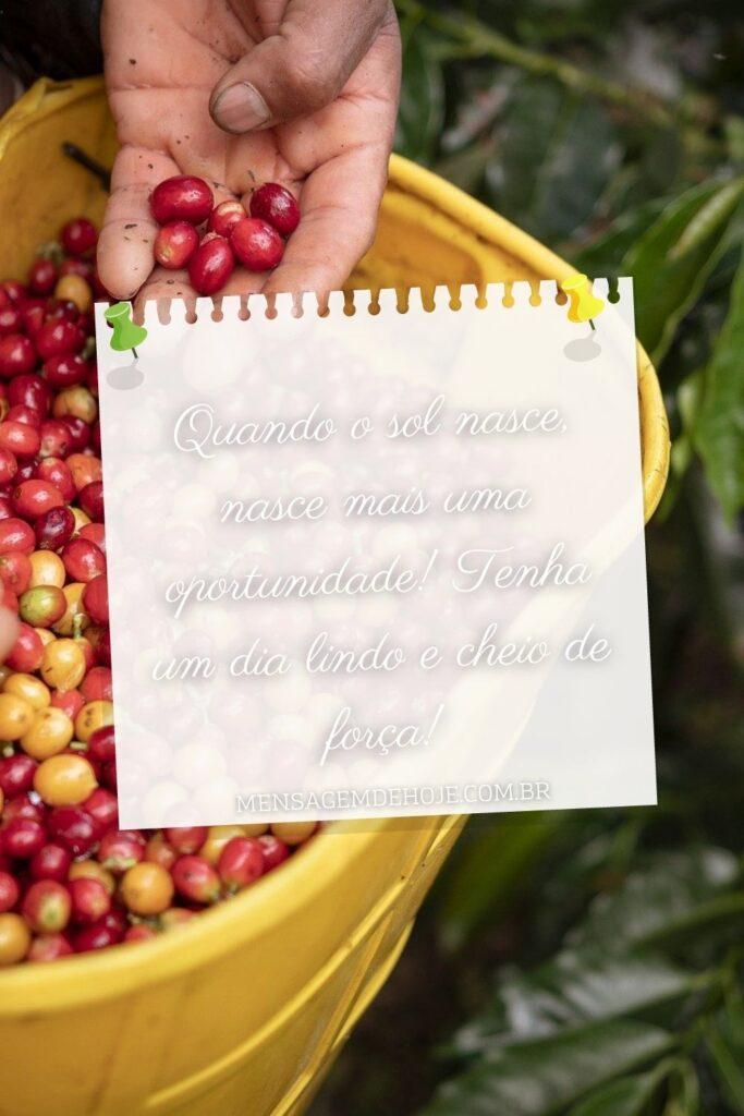 Bom Dia 24 de Julho de 2023 1