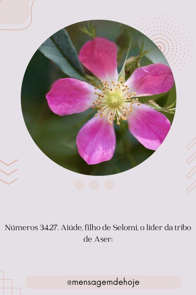 Salmos 20 de Julho de 2023 15