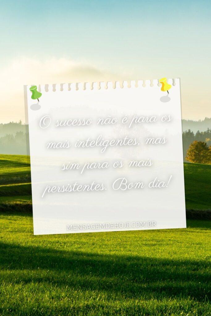 Bom Dia 24 de Julho de 2023 3