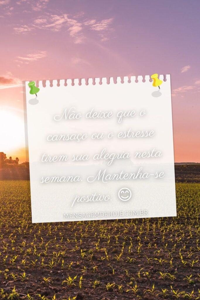 Bom Dia 25 de Julho de 2023 13