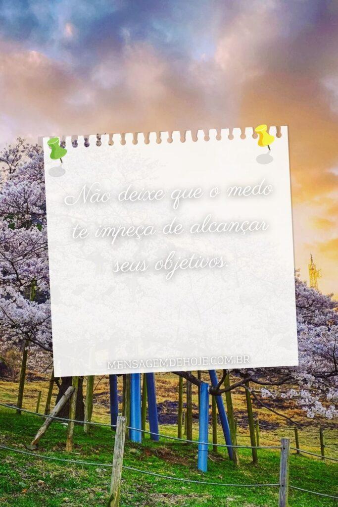 Bom Dia 26 de Julho de 2023 19