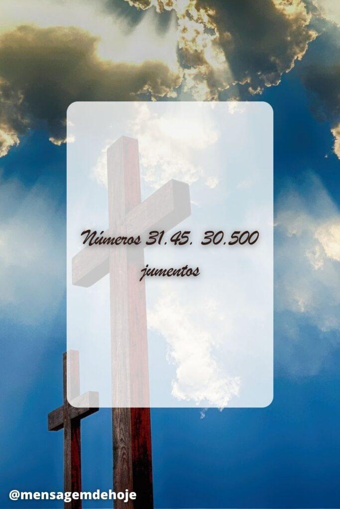 Salmos 07 de Julho de 2023 7