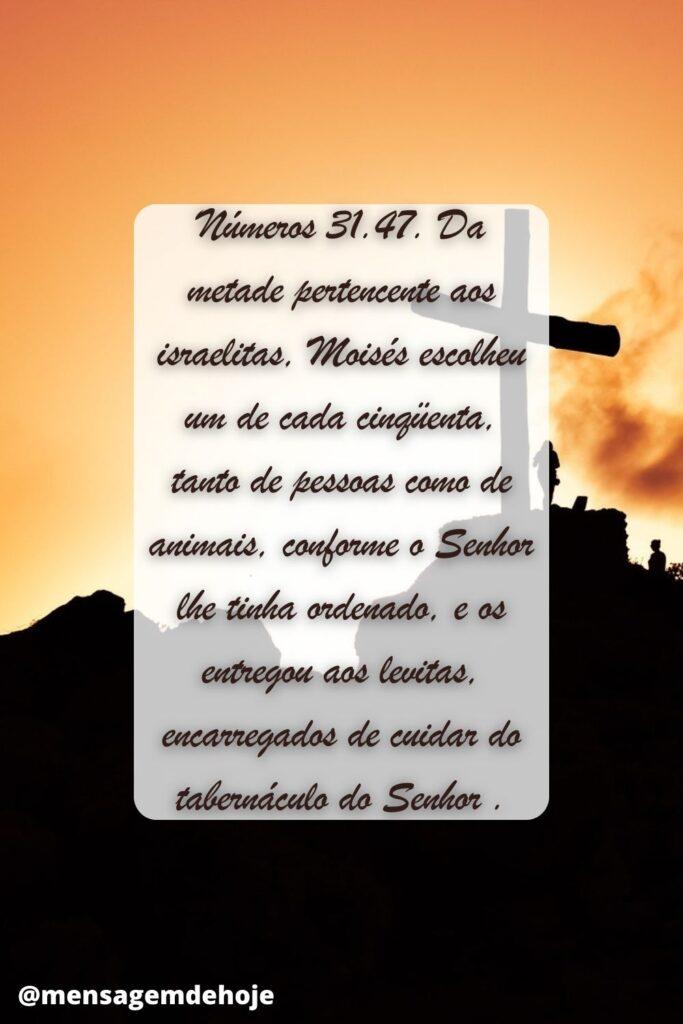 Salmos 07 de Julho de 2023 9