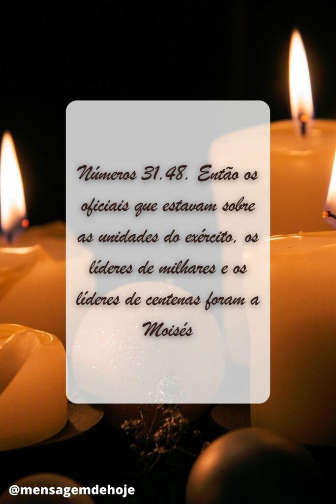 Salmos 07 de Julho de 2023 11