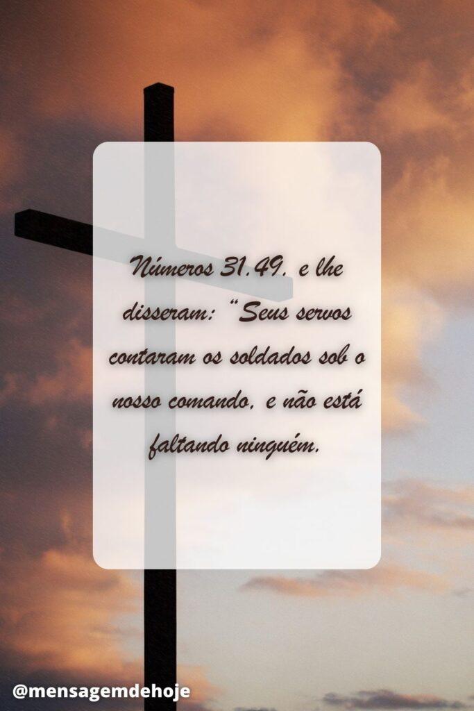 Salmos 07 de Julho de 2023 13