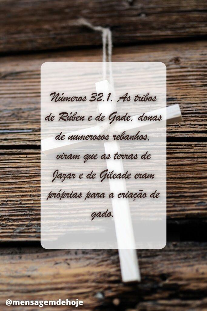 Salmos 08 de Julho de 2023 11
