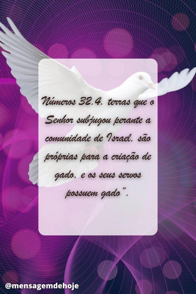 Salmos 08 de Julho de 2023 17