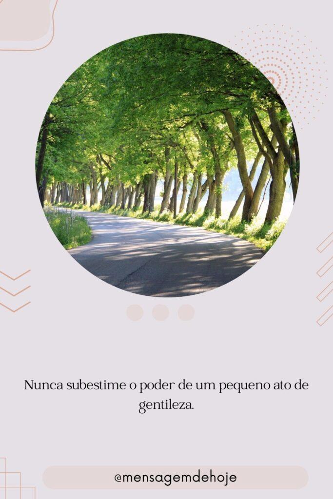 Pensamentos 29 de Julho de 2023 15