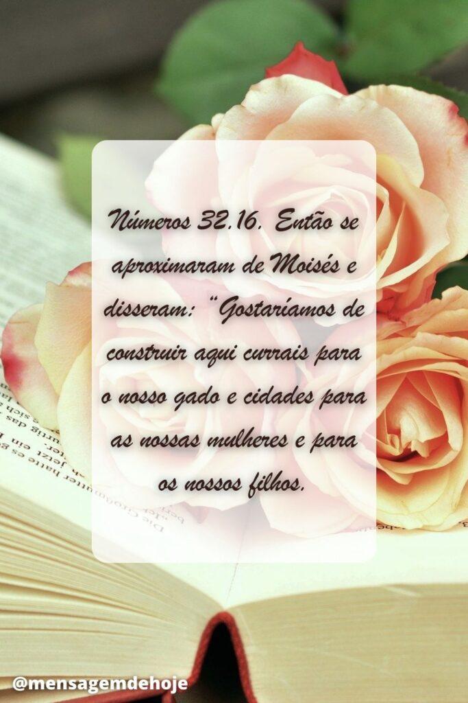 Salmos 09 de Julho de 2023 1