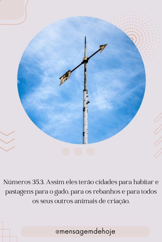 Salmos 21 de Julho de 2023 5