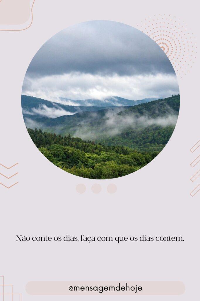 Pensamentos 30 de Julho de 2023 11