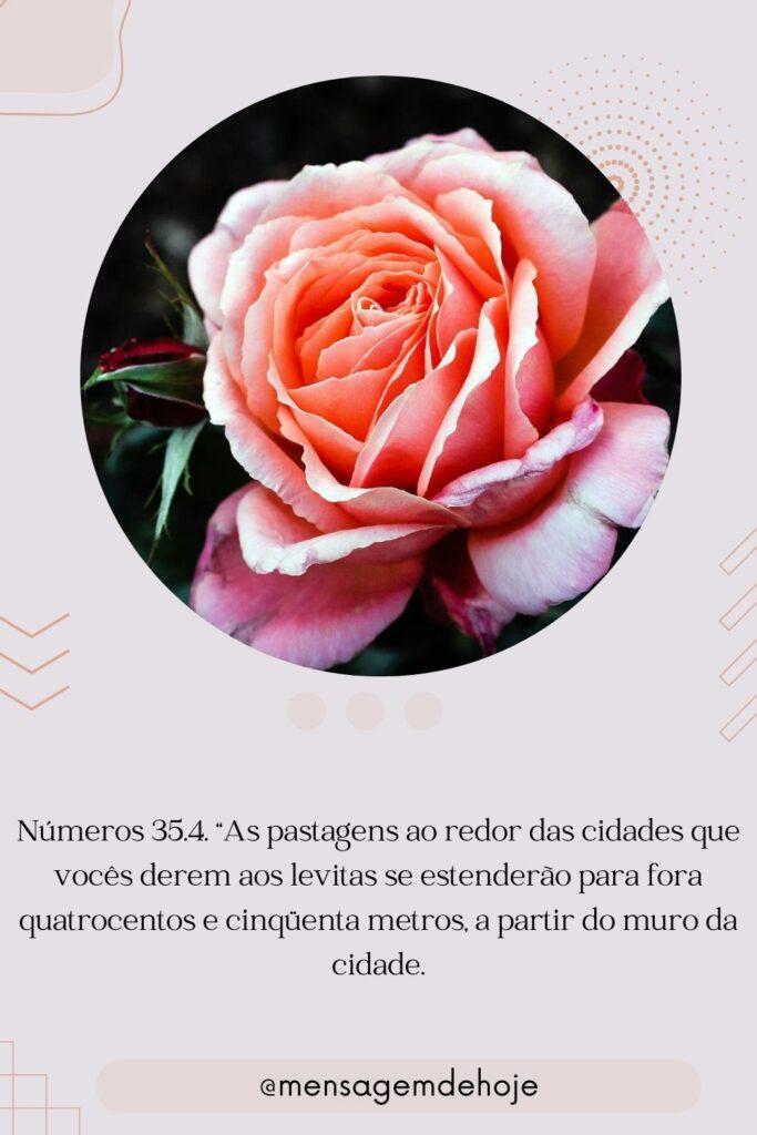 Salmos 21 de Julho de 2023 7