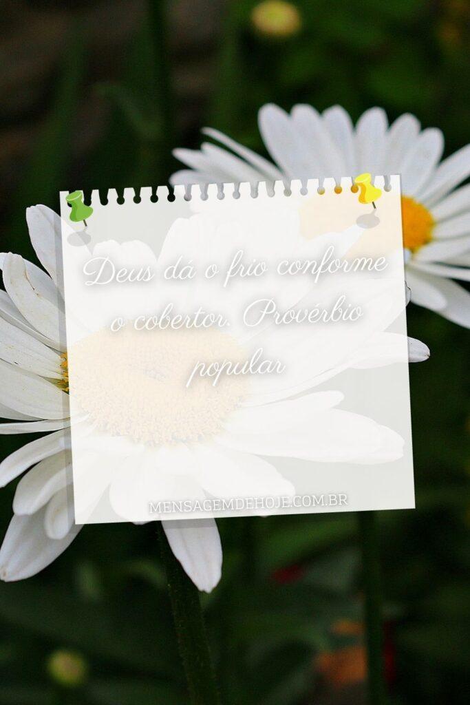 Pensamentos 08 de Julho de 2023 19