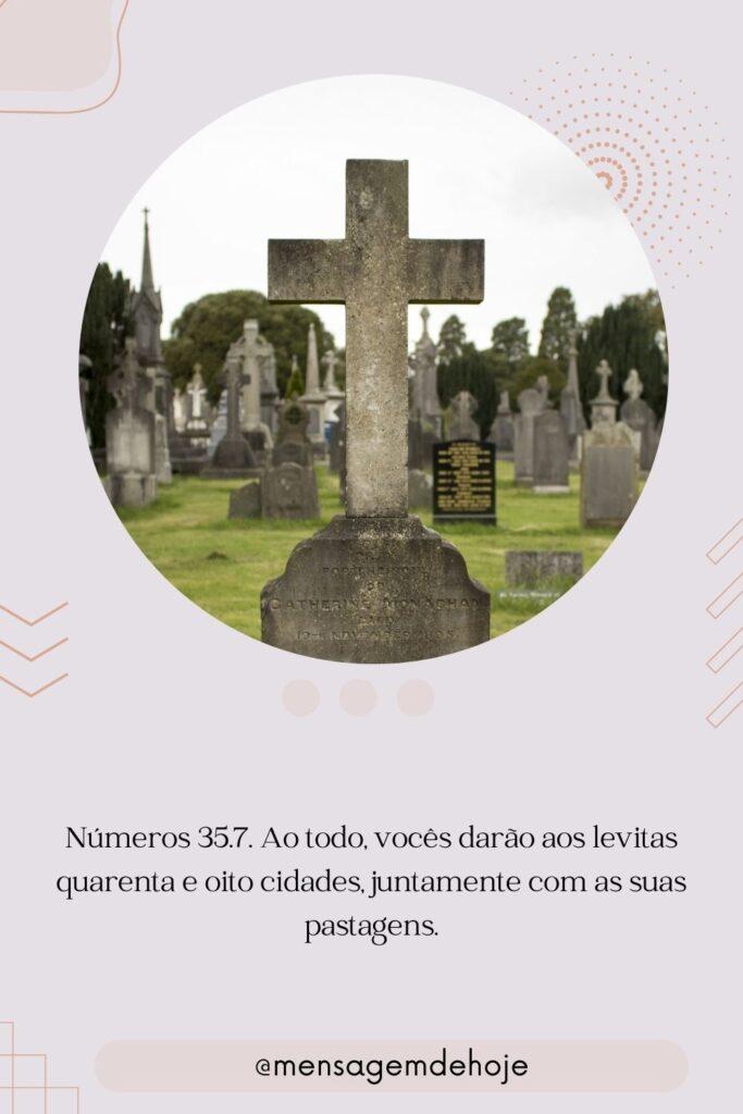 Salmos 21 de Julho de 2023 13