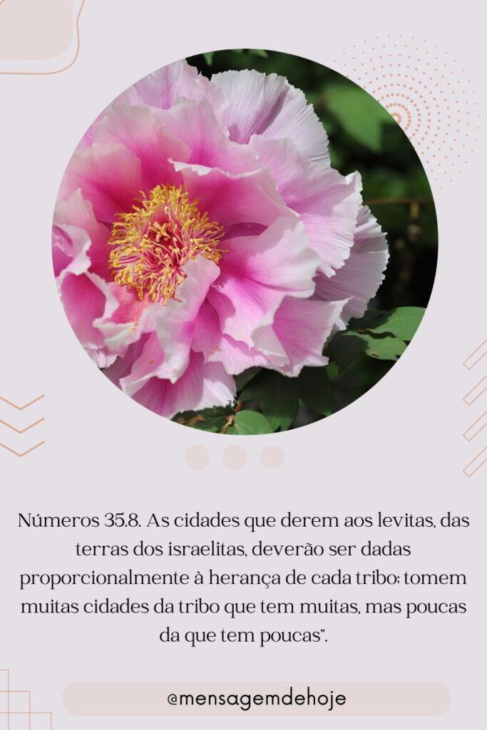 Salmos 21 de Julho de 2023 15