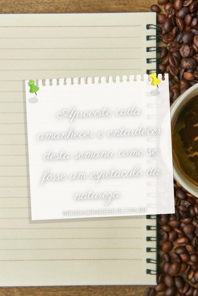 Bom Dia 11 de Julho de 2023 15