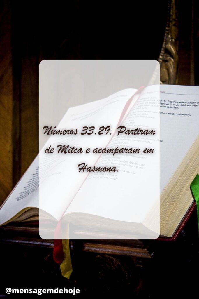 Salmos 15 de Julho de 2023 7