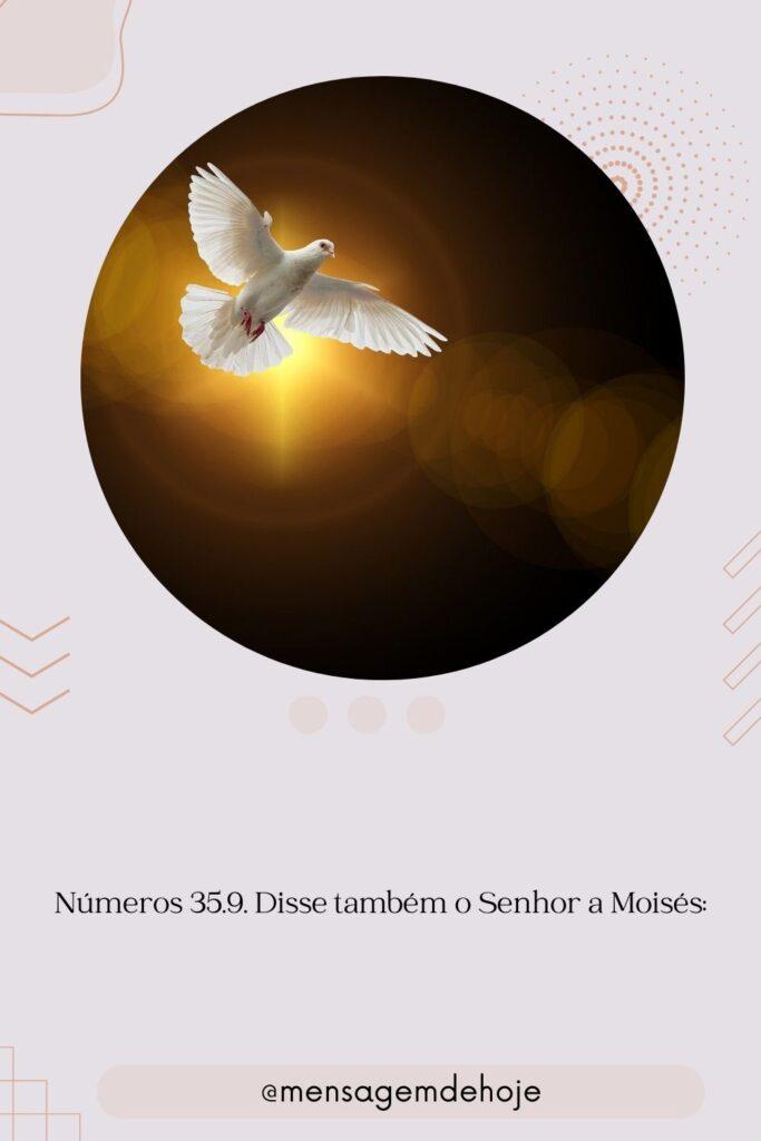Salmos 21 de Julho de 2023 17