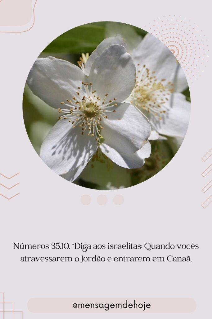 Salmos 21 de Julho de 2023 19