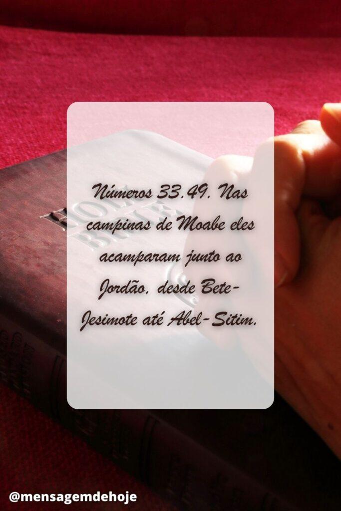Salmos 17 de Julho de 2023 7