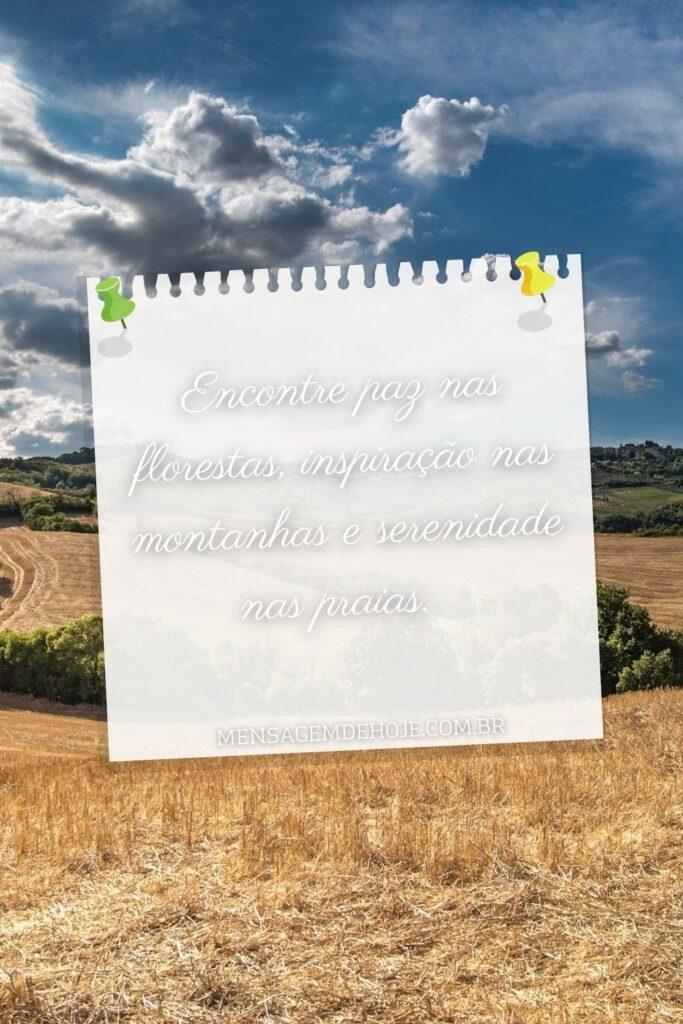 Pensamentos 13 de Julho de 2023 19