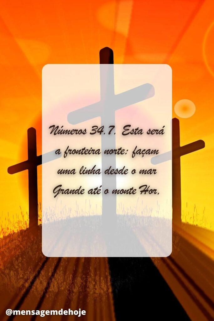Salmos 18 de Julho de 2023 15