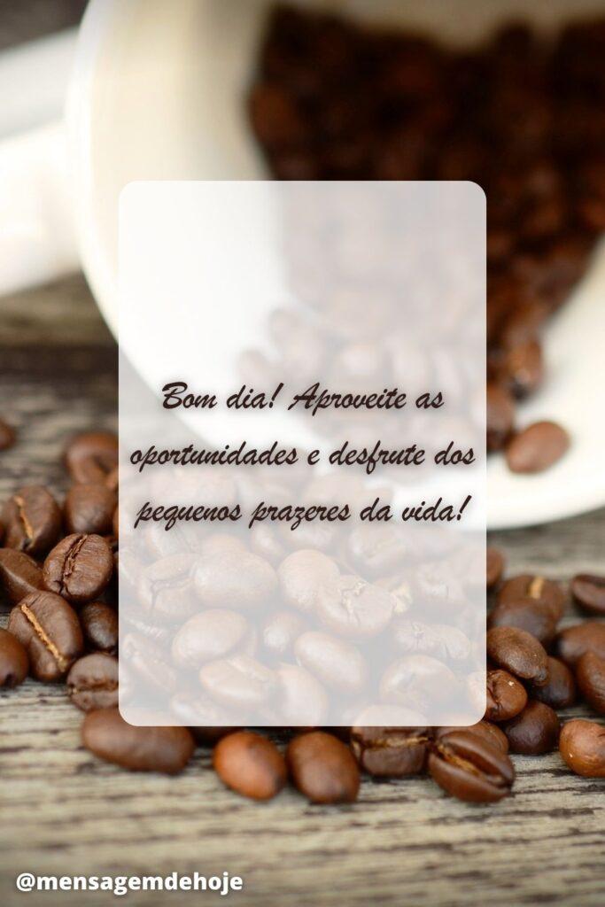 Bom Dia 08 de Julho de 2023 15