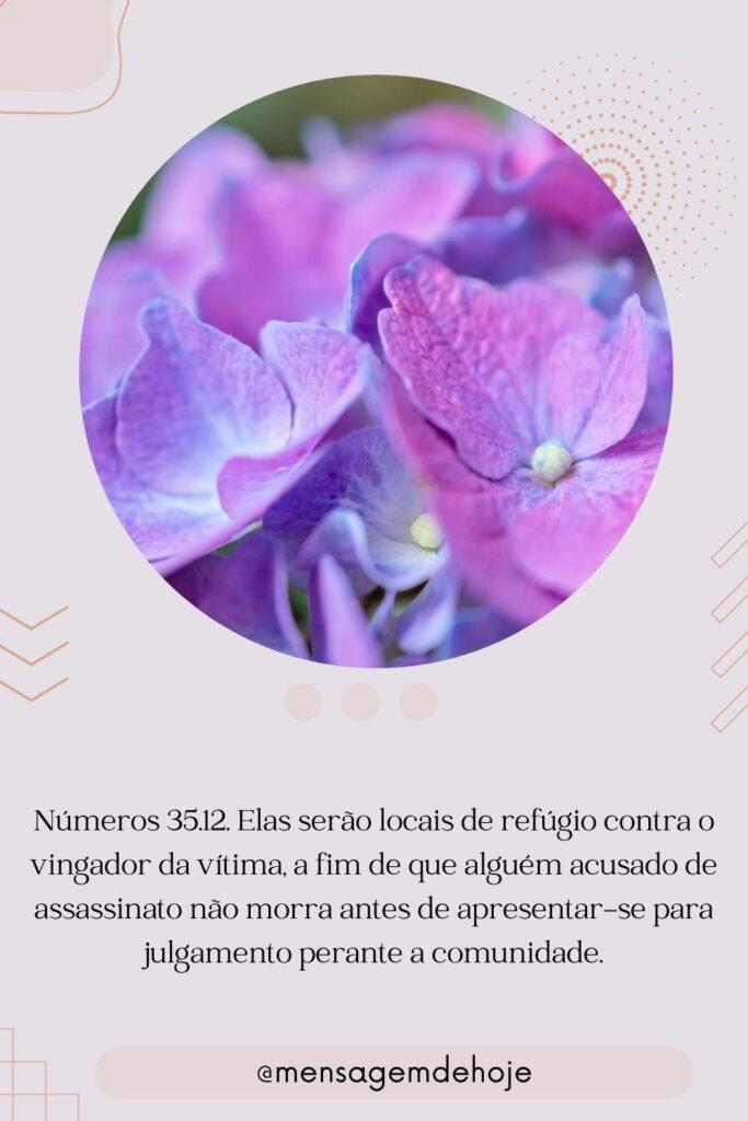 Salmos 21 de Julho de 2023 3