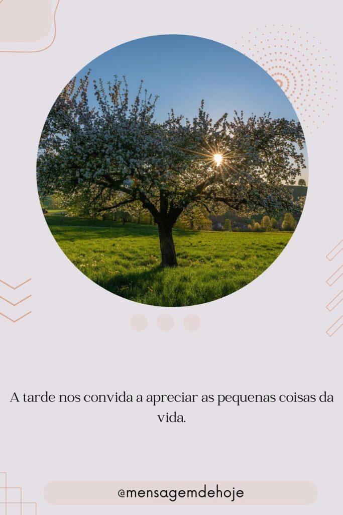 Boa Tarde 06 de Julho de 2023 9
