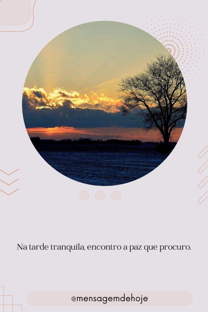 Boa Tarde 06 de Julho de 2023 3