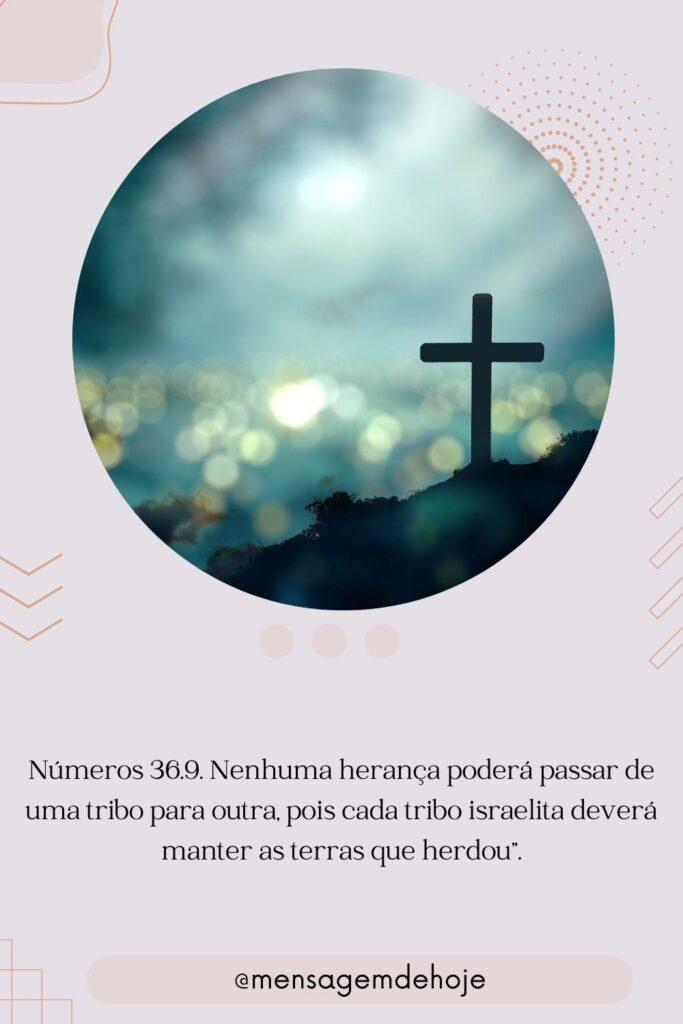 Salmos 25 de Julho de 2023 5