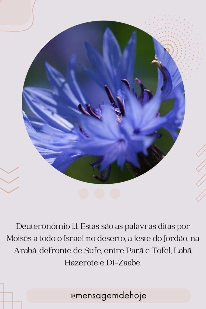 Salmos 25 de Julho de 2023 15
