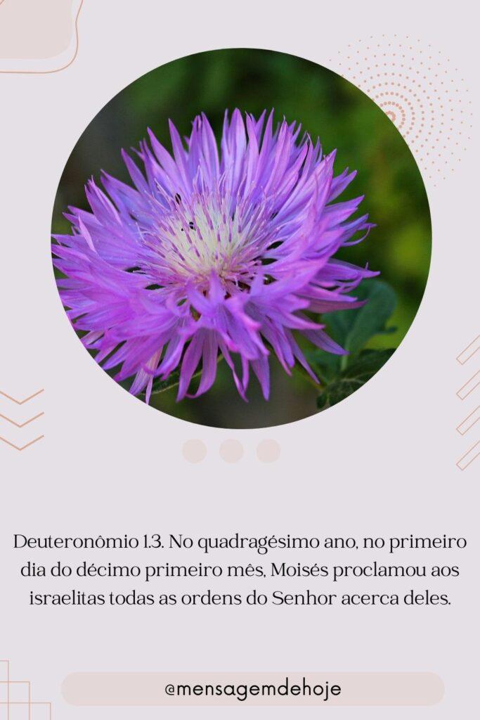 Salmos 25 de Julho de 2023 19