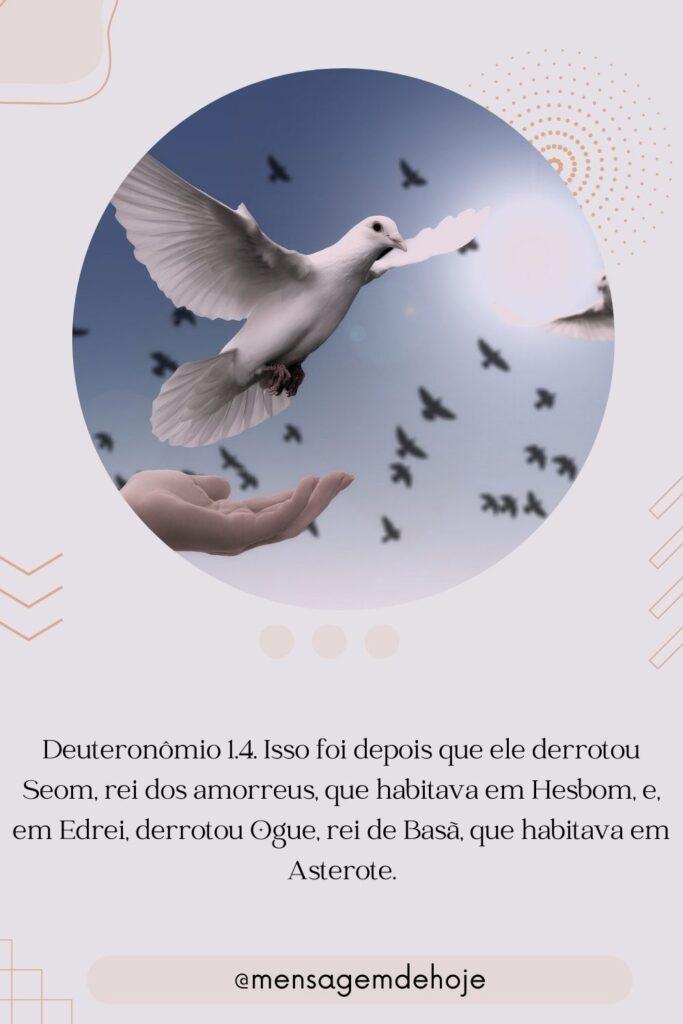 Salmos 25 de Julho de 2023 1