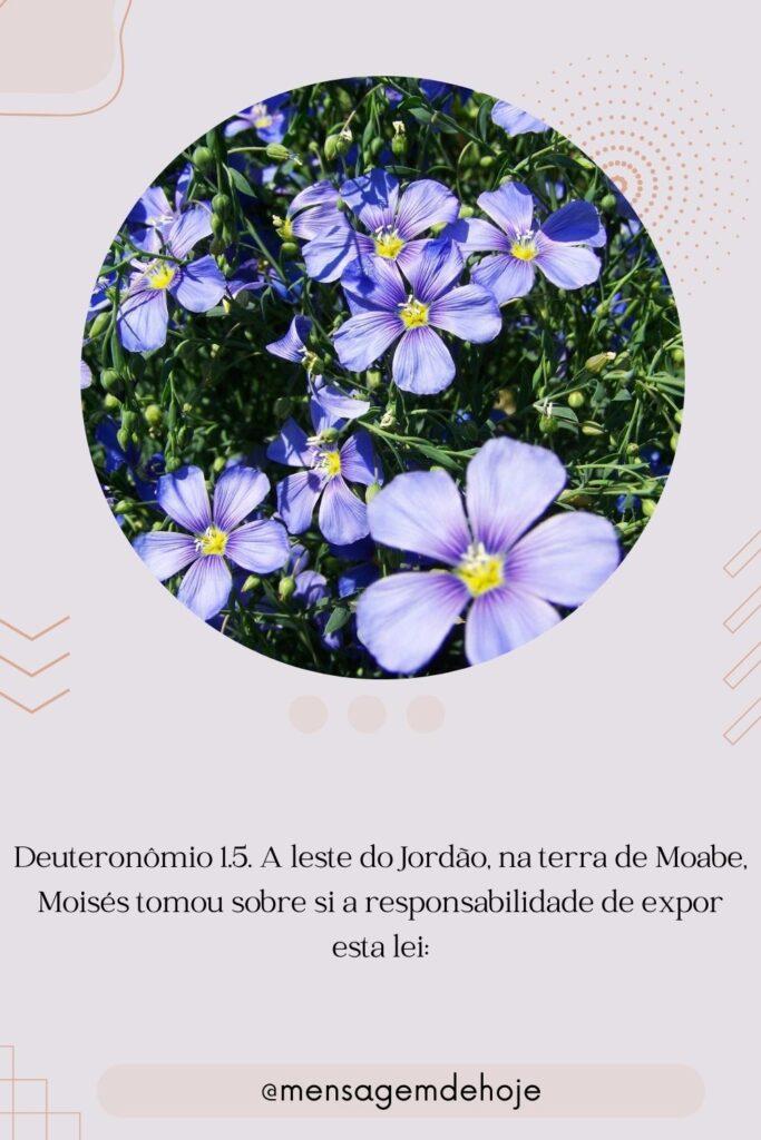Salmos 25 de Julho de 2023 3