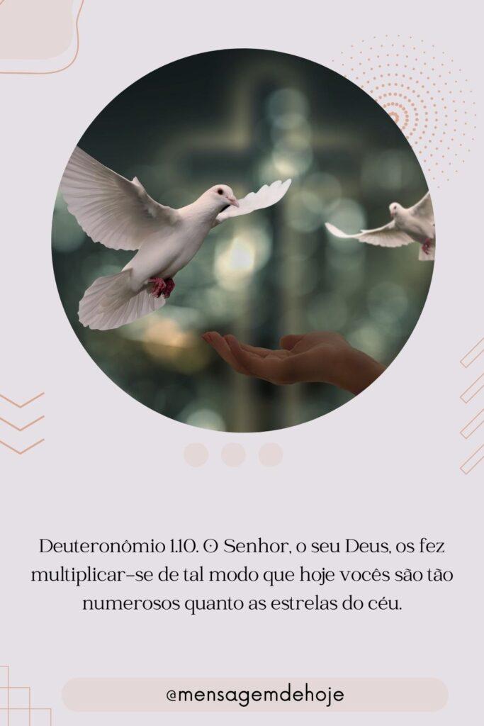 Salmos 26 de Julho de 2023 13