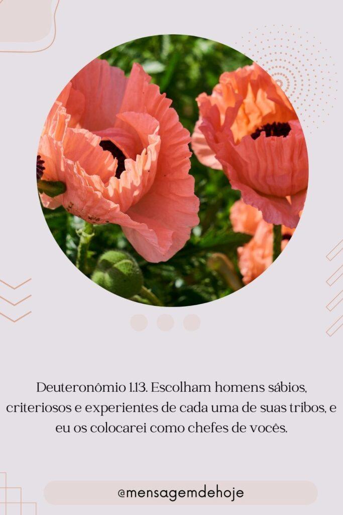 Salmos 26 de Julho de 2023 19
