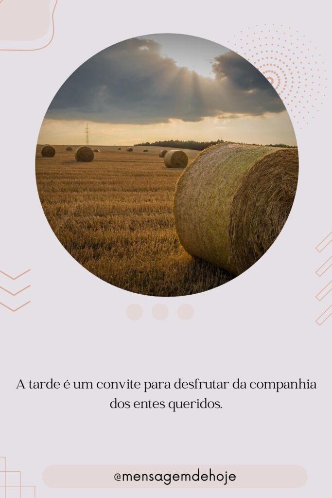 Boa Tarde 04 de Julho de 2023 19